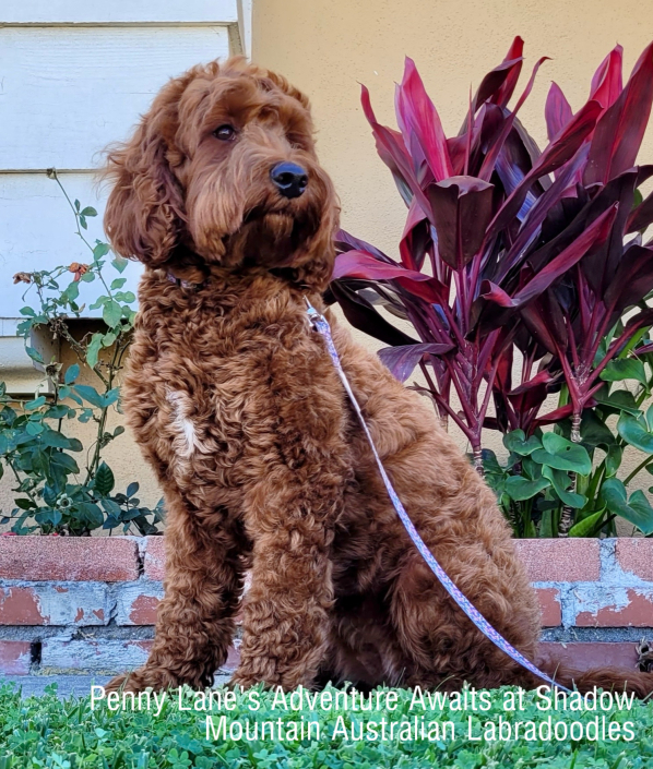Holly website photo 2